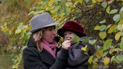 Mom and daughters playing in the park, mom showing daughters leaves on a tree Vidéo 80700744