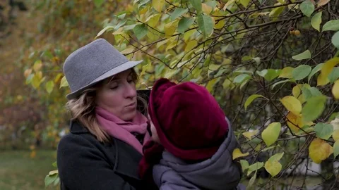 Mom and daughters playing in the park, mom showing daughters leaves on a tree Stock Footage 80700882