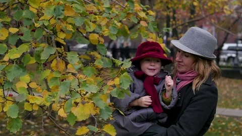 Mom and daughters playing in the park, mom showing daughters leaves on a tree Stock Footage 80770689