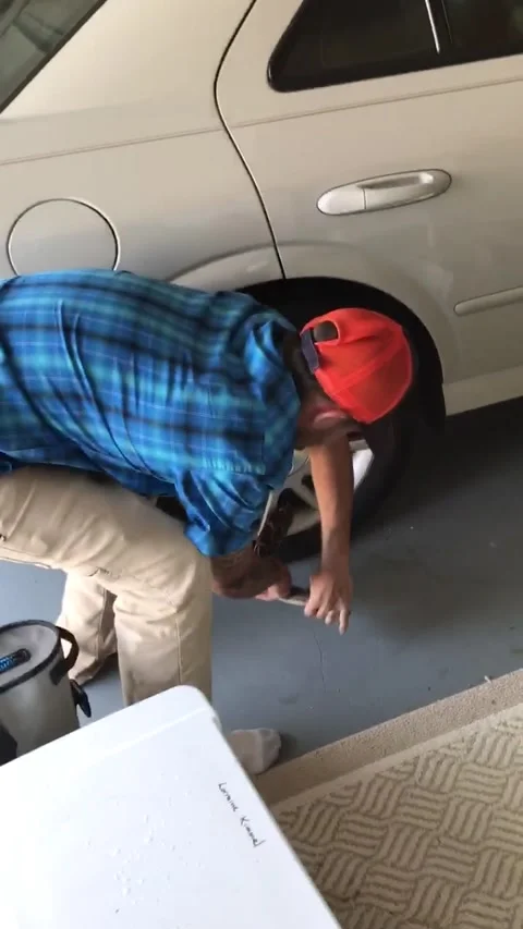 Mom Helps Remove Python Wrapped in Car, Stuart, Florida, USA - 26 Nov 2021 스톡 동영상 205401150