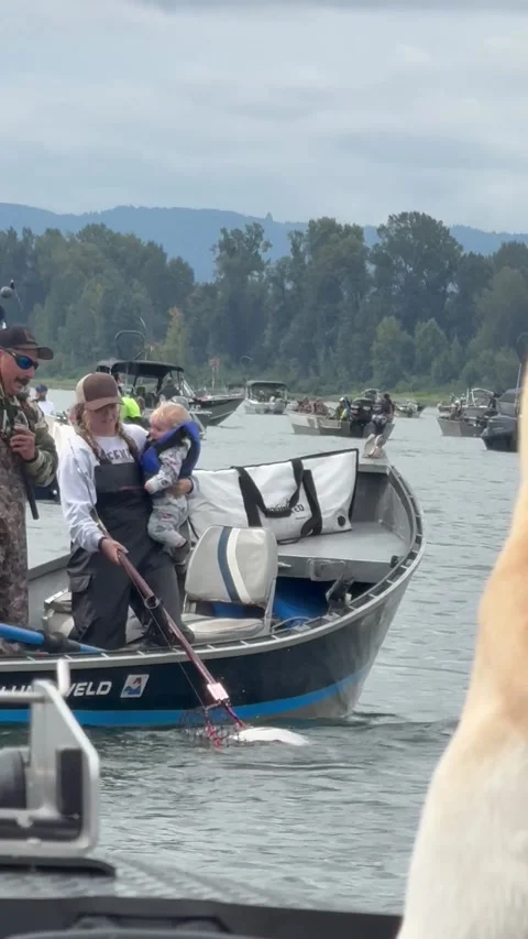 Mom Nets Fish While Holding Child, Ridgefield, Washington, USA - 06 Sep 2026 Stock-Footage 345756496