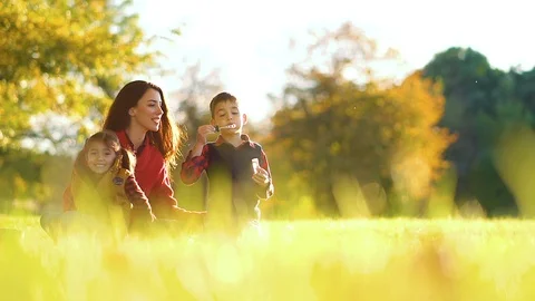 Mom with two children has fun in the park Stock Footage 101080804