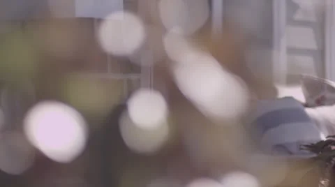 Mom Watching Bubbles While Reading Stock Footage 25945038