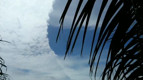 For a moment forget a little problem by looking at the sky Stock Footage 219957722