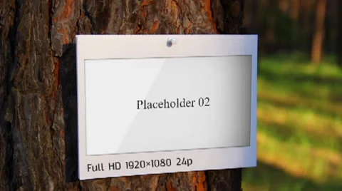 Moments in the forest Stockmateriaal After Effects