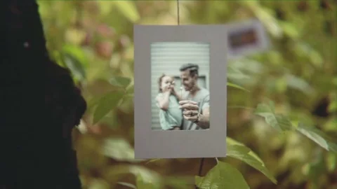 Moments Of Life  After Effects	Stock