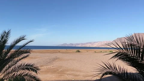 Moments in Taba Stock Footage 313148960