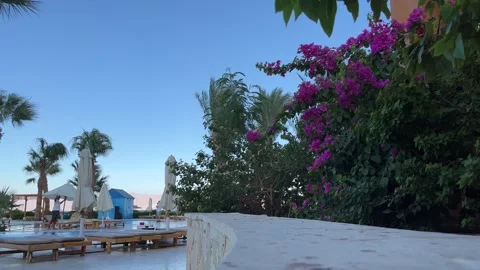 Moments in Taba Stock Footage 313149171