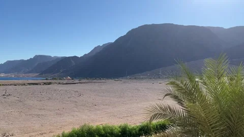 Moments in Taba Stock Footage 313149499