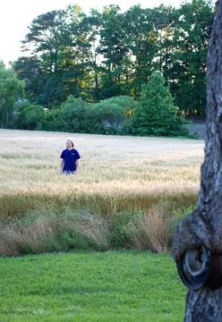 MomFeild Stock Photos