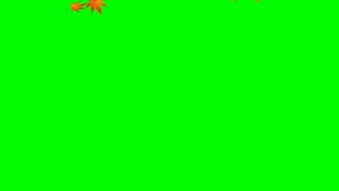 Momiji animation  Vídeos de archivo 117094983