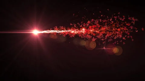 Momiji maple leaf stroke line particle animation Vídeo Stock 147262506