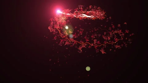 Momiji maple leaf stroke line particle animation Stock Footage 147262677