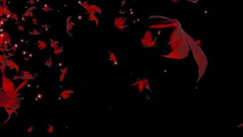 Momiji maple particle loop animation Stock Footage 146202159