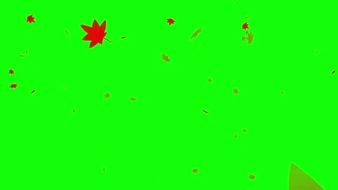 Momiji reef loop animation green screen Video stock 145999853