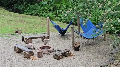Momma Bear and Cubs Hammock Havoc, Near Pigeon Forge, Tennessee, USA - 12 Jun 20 Stock Footage 337587659