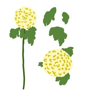 Momoko hydrangea set Stock Illustration