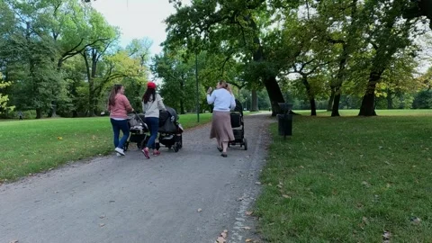Moms with Strollers: Close-Up in the Park Stock Footage 253164645