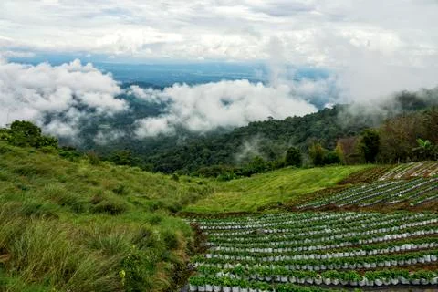 Mon Cheam mountain Stock Photos