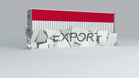 Monaco container with the flag falls on top of a container labeled EXPORT Stock Footage 124600576