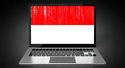 Monaco - country flag and binary code on laptop screen Stock Illustration