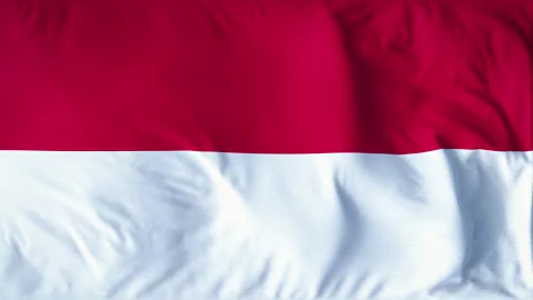 MONACO COUNTRY FLAG Video stock 282404934