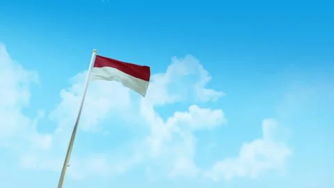 Monaco Flag 3D Render Animation with Fighter Jets Formation in Blue Sky Stock Footage 333246277