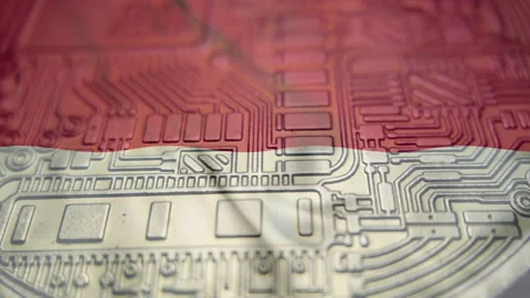 Monaco flag with Bitcoin Cryptocurrency Stock Footage 166791134