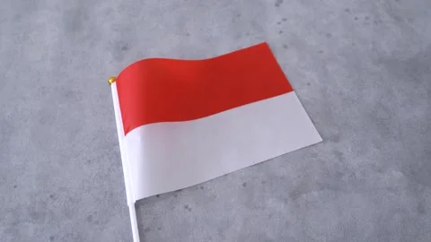 Monaco flag close up on gray background. Monegasque national flag. Stock Footage 330991506