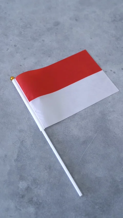 Monaco flag close up. Vertical shot on gray background. Monegasque national Stock Footage 331054125