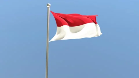 Monaco flag on flagpole. Monaco flag fluttering in the wind.	 Stock Footage 168476805