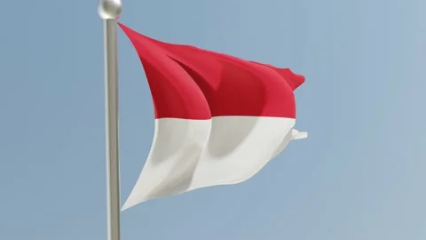 Monaco flag on flagpole. Monaco flag fluttering in the wind. Stock Footage 171527313