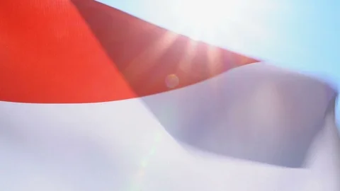 Monaco Flag Flapping Video stock 118957737