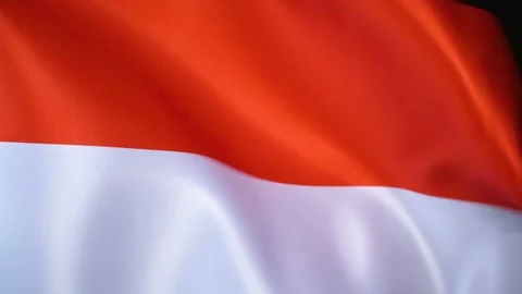 Monaco Flag Flapping Stock Footage 118970476