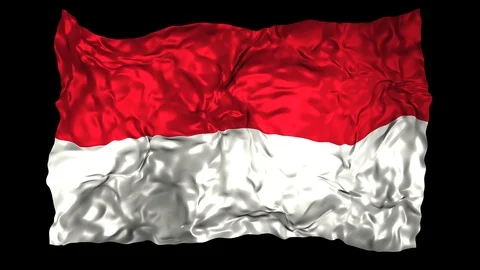 Monaco flag Stock Footage 110823692