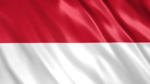 Monaco Flag Stock Footage 123781239
