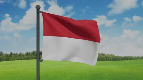 Monaco Flag Stock Footage 153254599