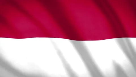 Monaco Flag Stock Footage 188147159
