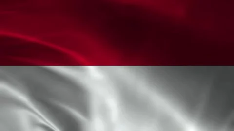 Monaco Flag Stock Footage 336903898