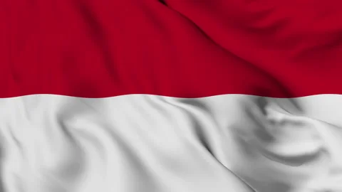 Monaco flag gently waving in the wind Stock Footage 140220999