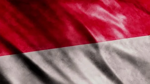 Monaco Flag Grunge Stock Footage 249037348