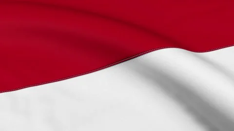 Monaco Flag Loop Stock Footage 241222189