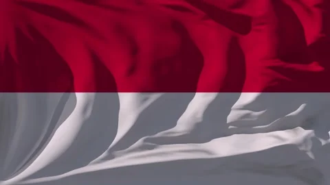 Monaco Flag Loop Video stock 295730899