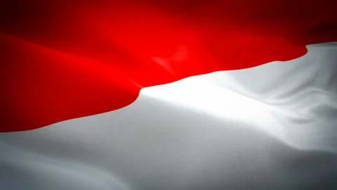 Monaco flag Motion Loop video waving in wind. Realistic Monaco Flag background. Stock Footage 106382705