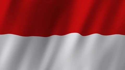 Monaco Flag. National 3d Monaco flag waving. Flag of Monaco footage video waving Stock Footage 253203684