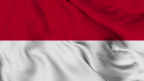 Monaco flag seamless waving animation Stock Footage 168214455