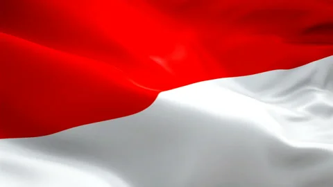 Monaco flag video waving in wind. Realistic Monaco Flag background. Monaco Flag Stock Footage 106382543