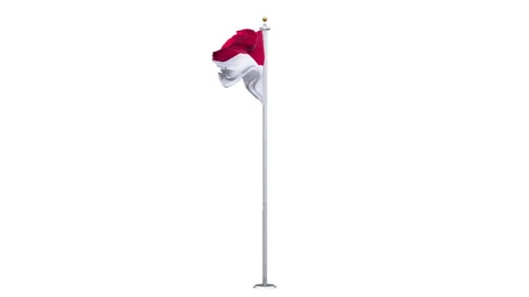 Monaco flag waving 360-degree rotation looping. Stock Footage 324794066