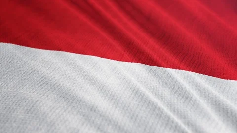 Monaco flag is waving 3D animation.  Stock Footage 100635008