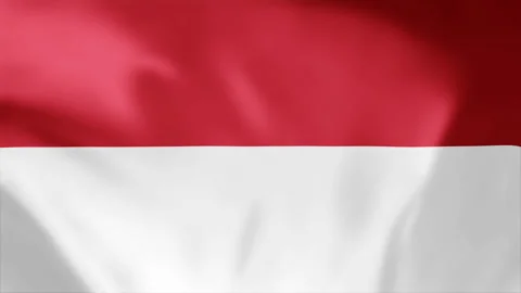 Monaco flag is waving 3D animation. Flag seamless loop animation 4k Stock Footage 263654969